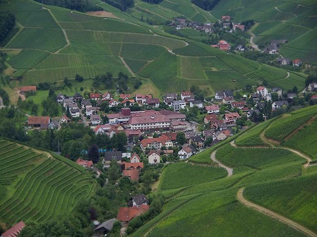 Gasthaus Hohberg Дурбах Екстер'єр фото